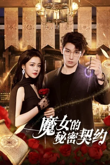 The Secret Contract of the Witch